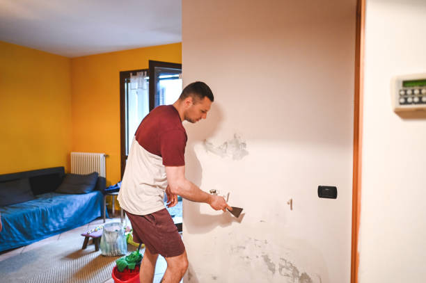 Attic Mold Removal